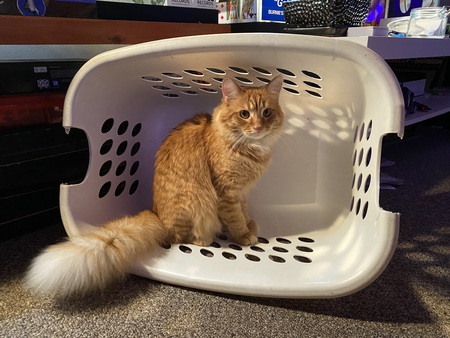 Entry image for Bill. Clicking this image will show a larger photo