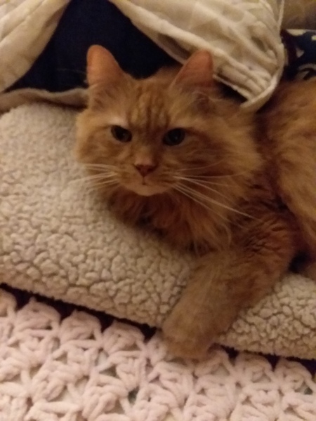 Entry image for Bobby. Clicking this image will show a larger photo