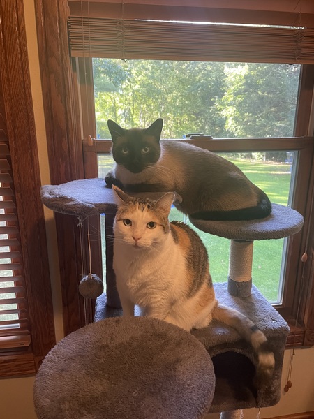 Entry image for Frank and Rue. Clicking this image will show a larger photo