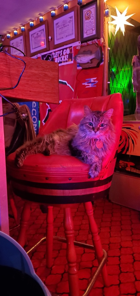 Entry image for Niska. Clicking this image will show a larger photo