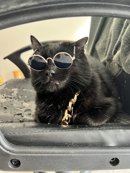 Entry image for Challa. Clicking this image will show a larger photo