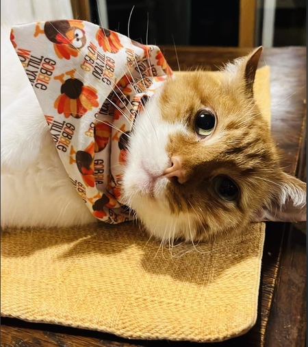 Entry image for Machine. Clicking this image will show a larger photo