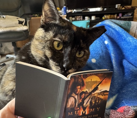 Entry image for Hazel. Clicking this image will show a larger photo