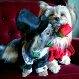 Entry image for Kalli & Jett