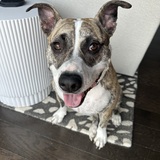 Entry image for Clara 