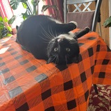 Entry image for Kiddarro