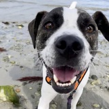 Entry image for Doug