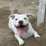 Entry image for Casper