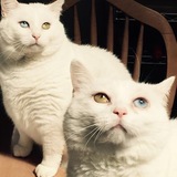 Entry image for Mama &  Zoe