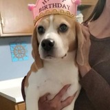 Entry image for Abbey