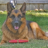 Entry image for Murphy