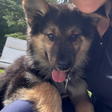 Entry image for Remington 