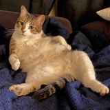 Entry image for Butter Pants