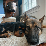 Entry image for Murphy and Maeve