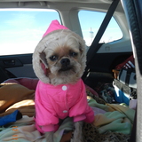 Entry image for PEGGYSUE