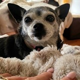 Entry image for Ethel