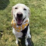 Entry image for Conway