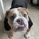 Entry image for Carmela