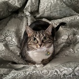 Entry image for Eileen “Weenie” Herman-Hylan