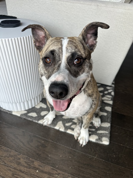 Entry image for Clara . Clicking this image will show a larger photo