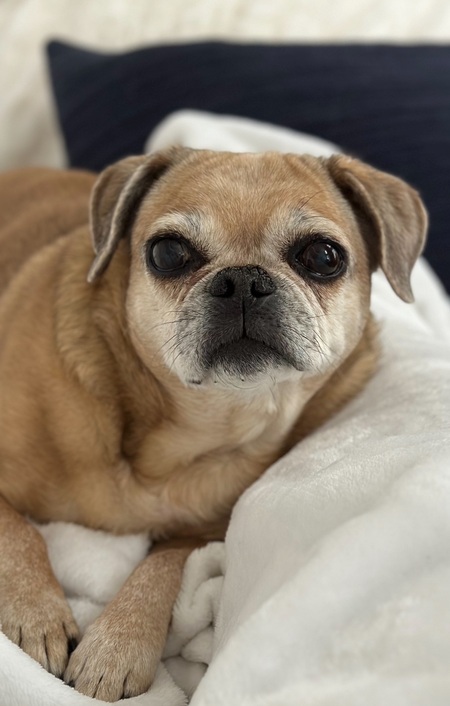 Entry image for Gia. Clicking this image will show a larger photo