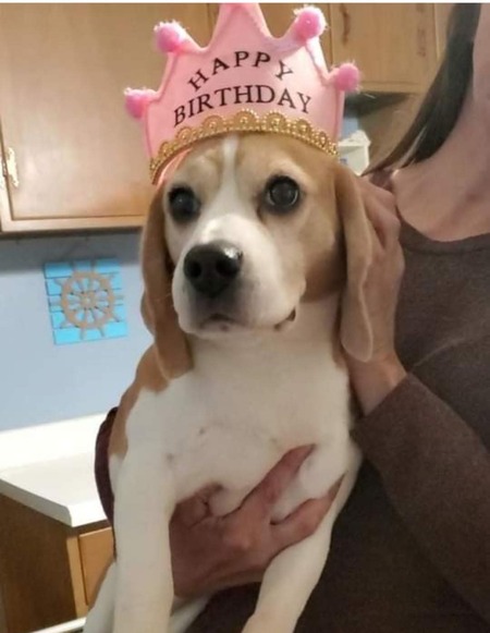 Entry image for Abbey. Clicking this image will show a larger photo