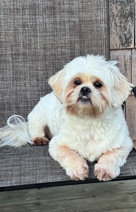 Entry image for Luca. Clicking this image will show a larger photo