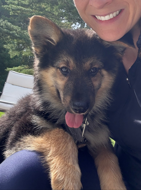 Entry image for Remington . Clicking this image will show a larger photo