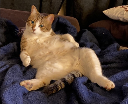 Entry image for Butter Pants. Clicking this image will show a larger photo