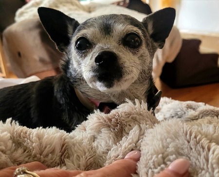 Entry image for Ethel. Clicking this image will show a larger photo