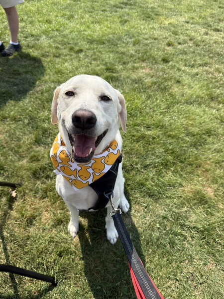 Entry image for Conway. Clicking this image will show a larger photo