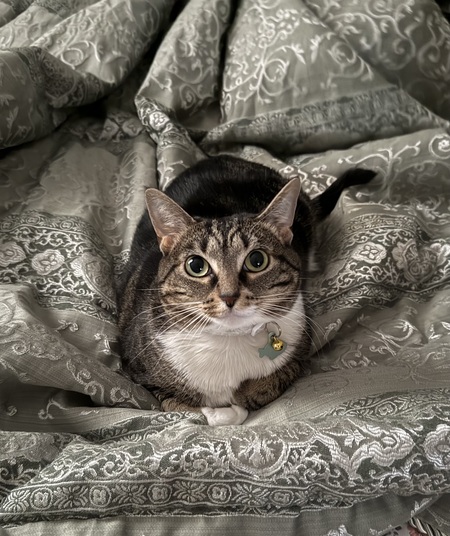 Entry image for Eileen “Weenie” Herman-Hylan. Clicking this image will show a larger photo