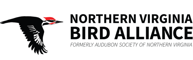 Logo for Northern Virginia Bird Alliance 2026 Calendar Contest