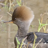 Entry image for Nothing like a new hair cut!