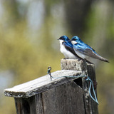 Entry image for A Quiet Conversation