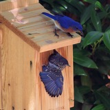 Entry image for You can do it, kid!  