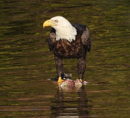 Entry image for I'm not sharing! . Clicking this image will show a larger photo