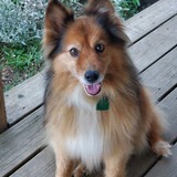 Entry image for Chloe