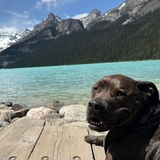 Entry image for Maverick Linus