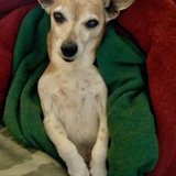 Entry image for Katie 