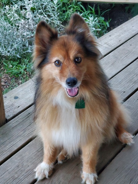 Entry image for Chloe. Clicking this image will show a larger photo