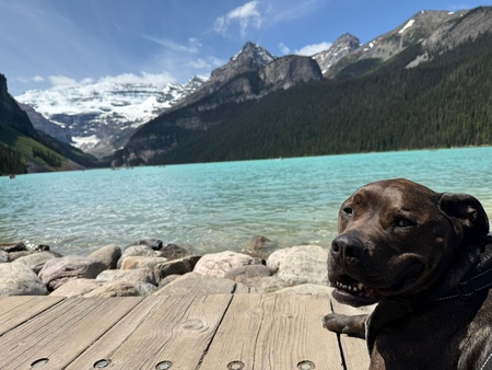 Entry image for Maverick Linus. Clicking this image will show a larger photo