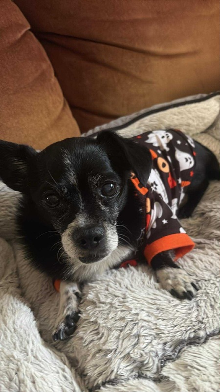 Entry image for Max. Clicking this image will show a larger photo