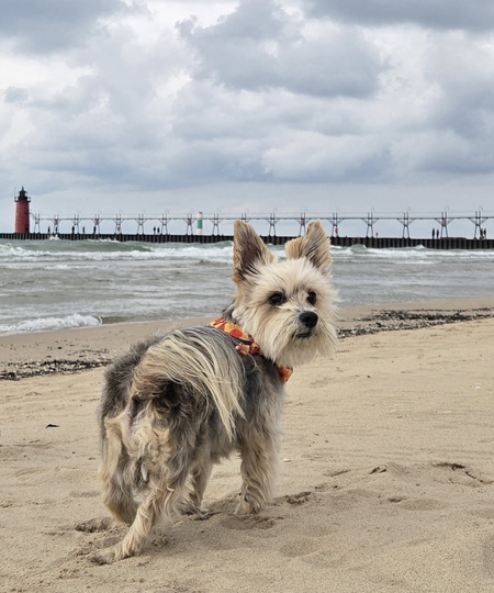 Entry image for Rambo John J. Kotzenmoyer. Clicking this image will show a larger photo