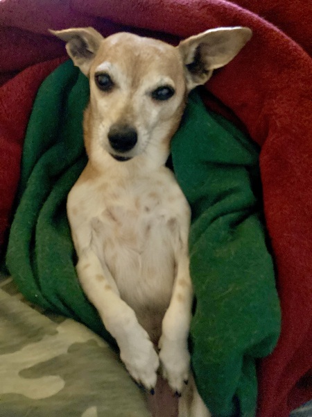 Entry image for Katie . Clicking this image will show a larger photo