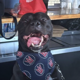 Entry image for Willy 