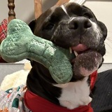 Entry image for Tayto