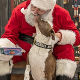 Entry image for Trouble 