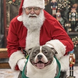 Entry image for Scarfo