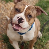 Entry image for Biggie